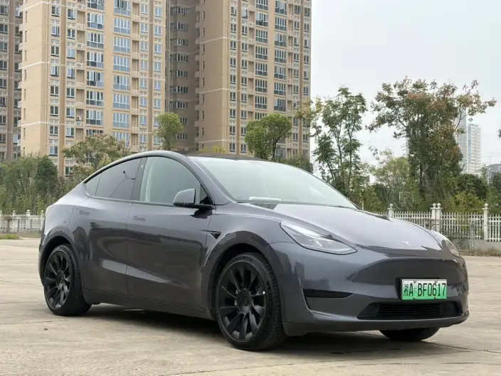 Model Y 2022 Model Facelift Rear-wheel drive version