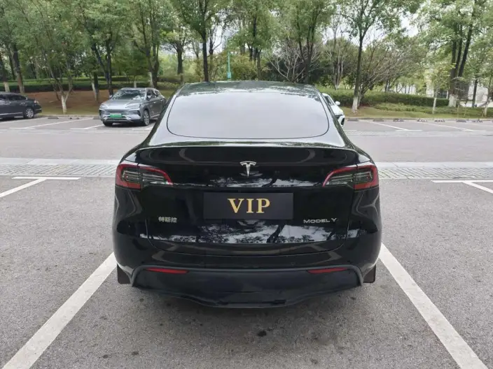 Model Y 2023 Model Rear-wheel drive version – фото 5