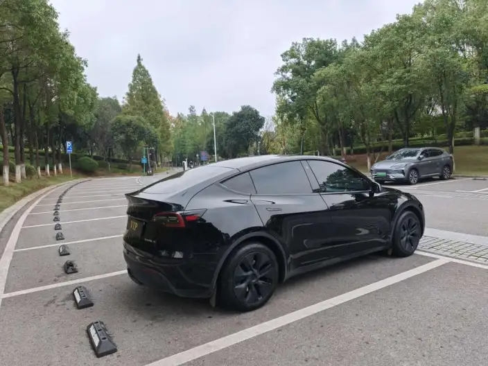 Model Y 2023 Model Rear-wheel drive version – фото 6