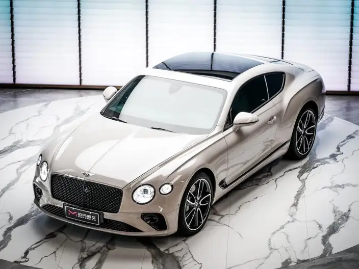 Continental 2022 Model 4.0T GT V8 – фото 10