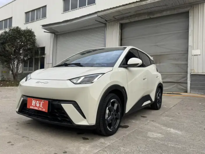 BYD Seagull 2023 Model Free Edition