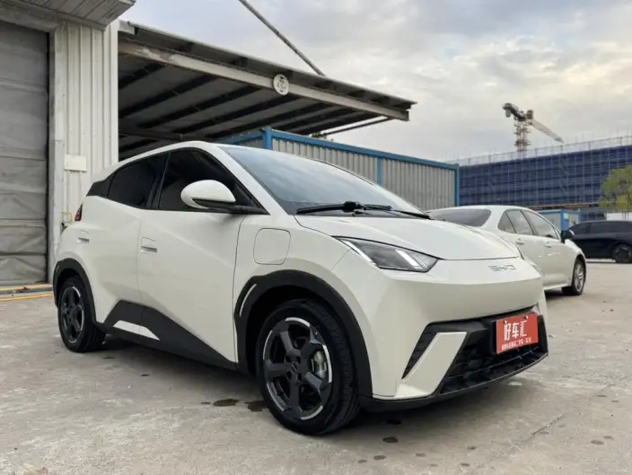 BYD Seagull 2023 Model Free Edition