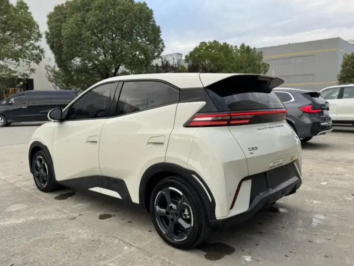 BYD Seagull 2023 Model Free Edition – фото 5