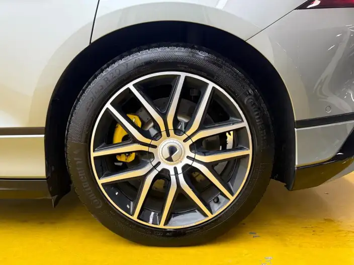 DENZA Z9GT DM 2024 Model 1100 4WD Max Edition