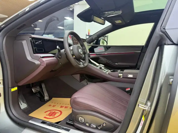 DENZA Z9GT DM 2024 Model 1100 4WD Max Edition – фото 8