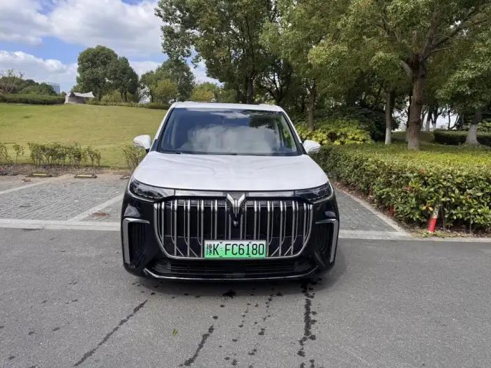 VOYAH Dreamer PHEV 2024 Model Ultra-long Endurance Ultimate Edition