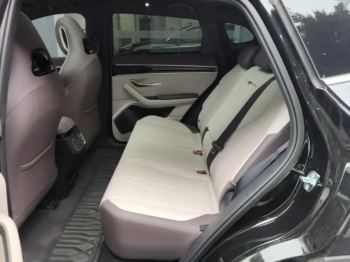 BYD Song PLUS DM 2025 Model DM-i 112KM Zunrong Model – фото 10