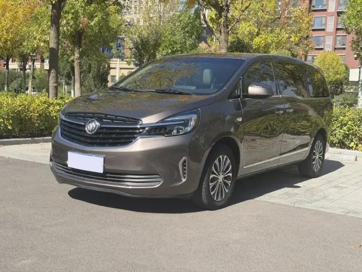 Buick GL8 2022 Model Business class 652T Luxury Model