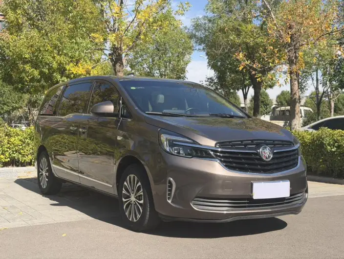 Buick GL8 2022 Model Business class 652T Luxury Model