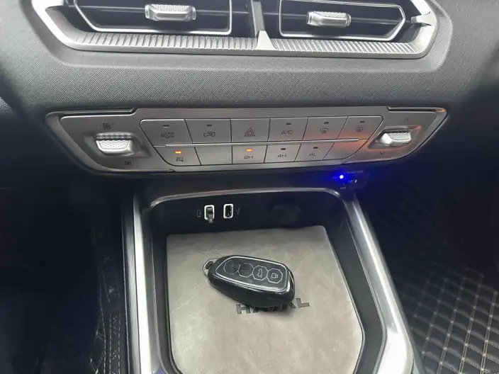 Haval H5 2023 Model 2.0T Diesel Ling Innovation Automatic 4WD – фото 9