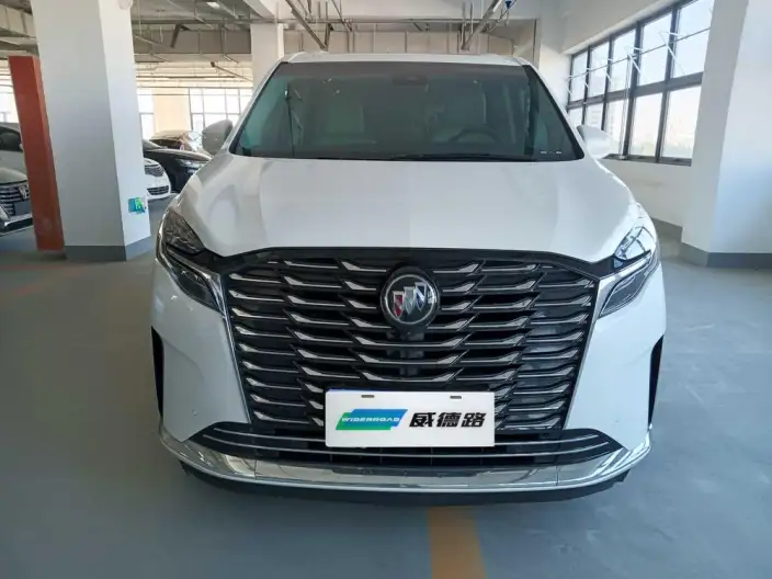 Buick GL8 2023 Model ES Luzun 2.0T Luxury Model