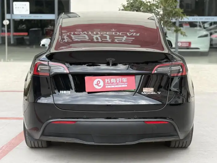 Model Y 2023 Model Rear-wheel drive version – фото 5