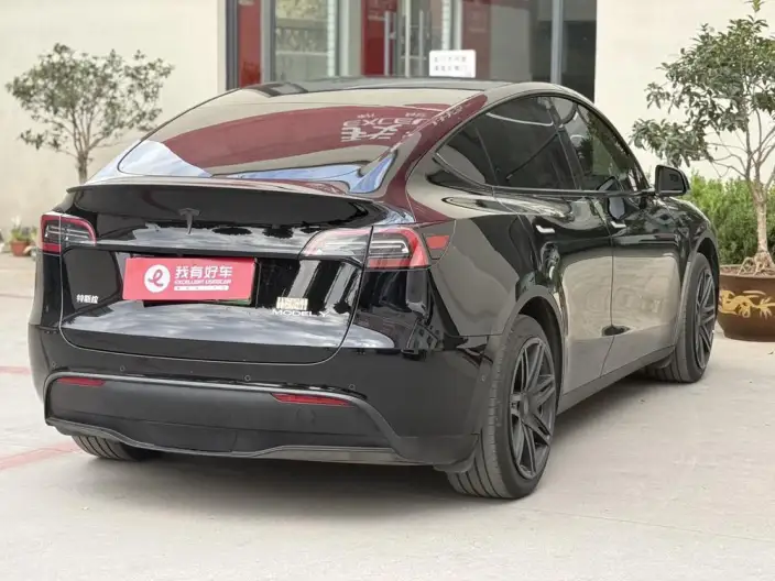 Model Y 2023 Model Rear-wheel drive version – фото 6
