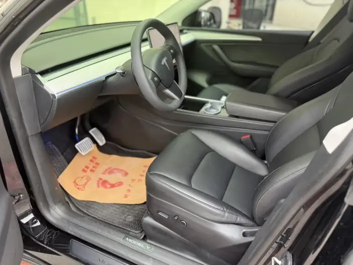 Model Y 2023 Model Rear-wheel drive version – фото 8