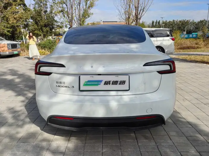 Model 3 2025 Model Rear-wheel drive version – фото 5