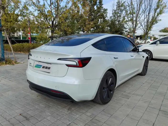 Model 3 2025 Model Rear-wheel drive version – фото 6