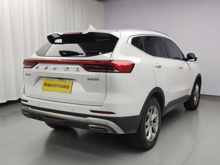 Haval H6 2021 Model Guo Trendy Edition 1.5T Automatic Champion Edition – фото 7