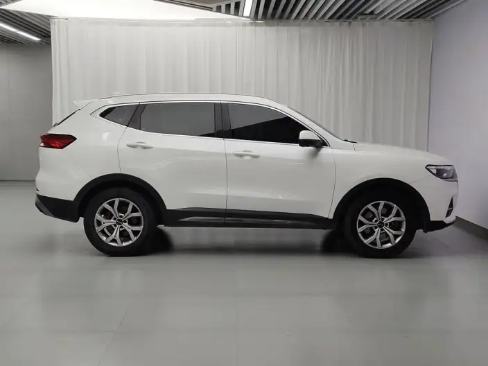 Haval H6 2021 Model Guo Trendy Edition 1.5T Automatic Champion Edition – фото 8