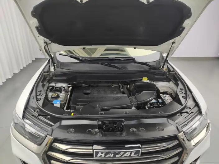 Haval H6 2021 Model Guo Trendy Edition 1.5T Automatic Champion Edition – фото 10