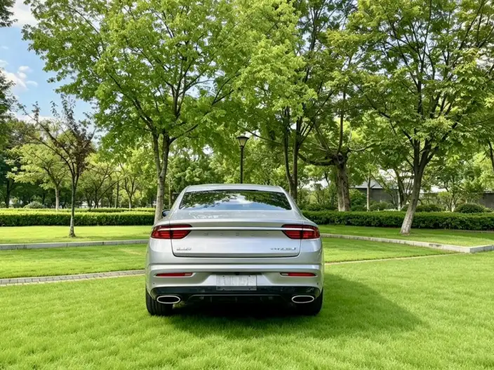 Geely StarRui 2023 Model 2.0T Noble Model – фото 5