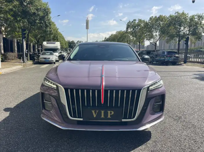 Hongqi H5 2024 Model 2.0T Automatic Flag Enjoy Edition