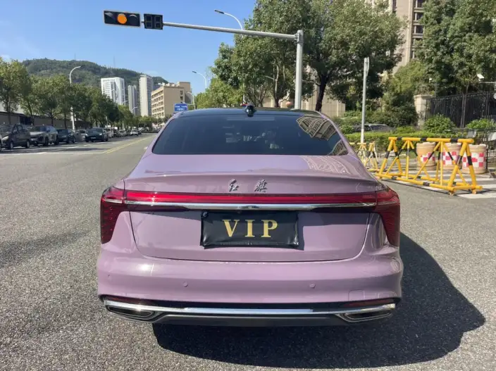 Hongqi H5 2024 Model 2.0T Automatic Flag Enjoy Edition – фото 6