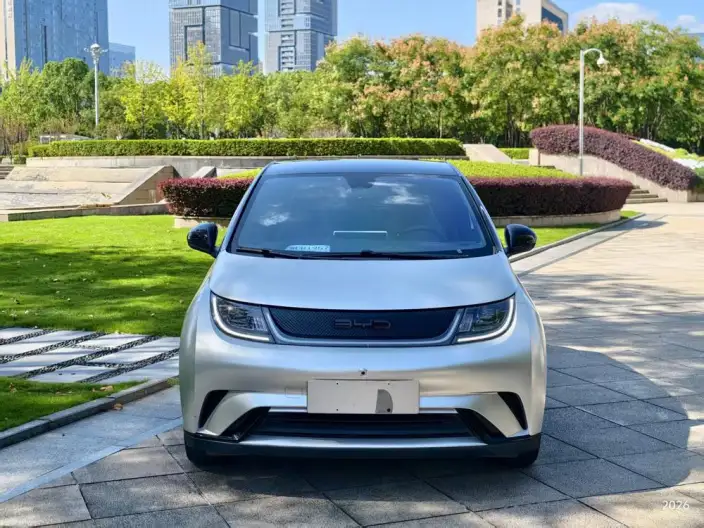 BYD Dolphin 2023 Model Fashion Edition – фото 2