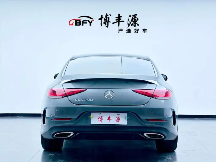 Mercedes-Benz CLS 2022 Model CLS 300 Luxury Model – фото 3