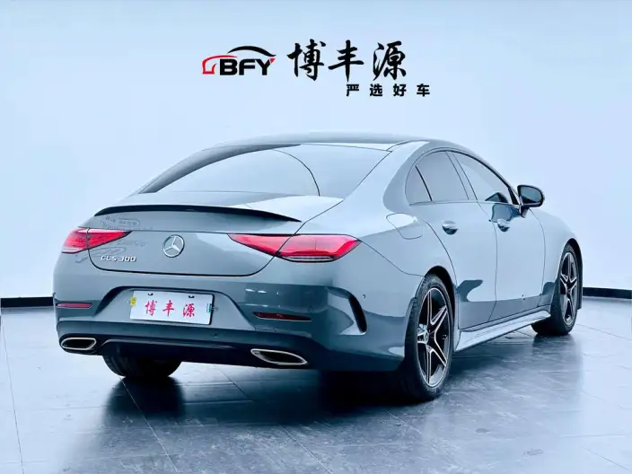 Mercedes-Benz CLS 2022 Model CLS 300 Luxury Model – фото 4