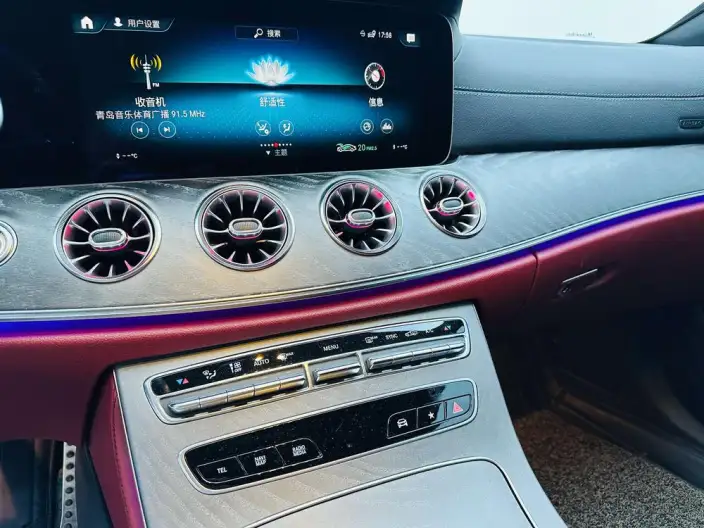 Mercedes-Benz CLS 2022 Model CLS 300 Luxury Model – фото 6
