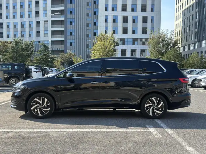 Viloran 2024 Model 380TSI Zun Drive Edition – фото 2