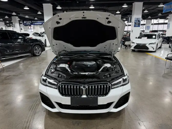 BMW 5 Series 2022 Model Facelift 530Li Executive Model M Sports Set – фото 7