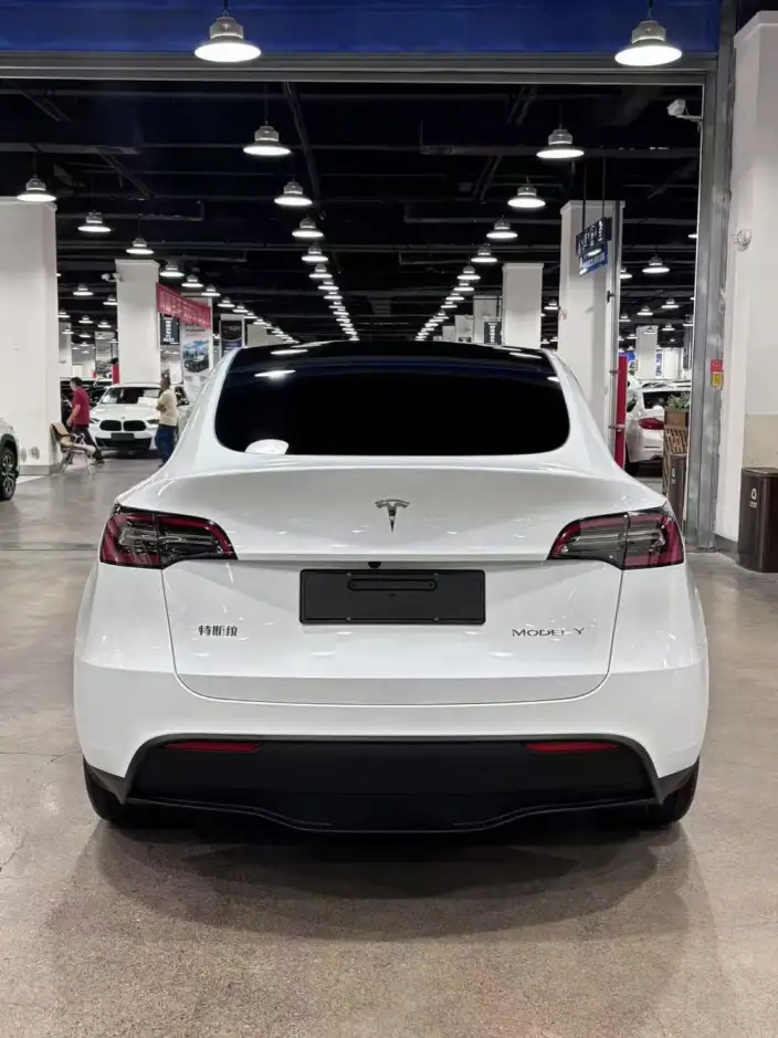 Model Y 2024 Model Long Battery Life Pro All-wheel drive version – фото 5