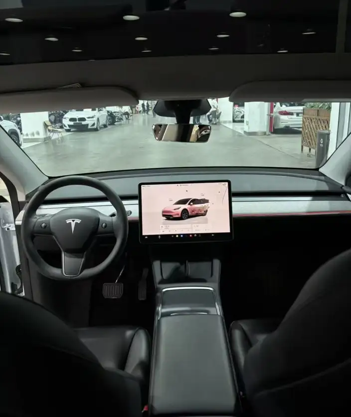 Model Y 2024 Model Long Battery Life Pro All-wheel drive version – фото 7