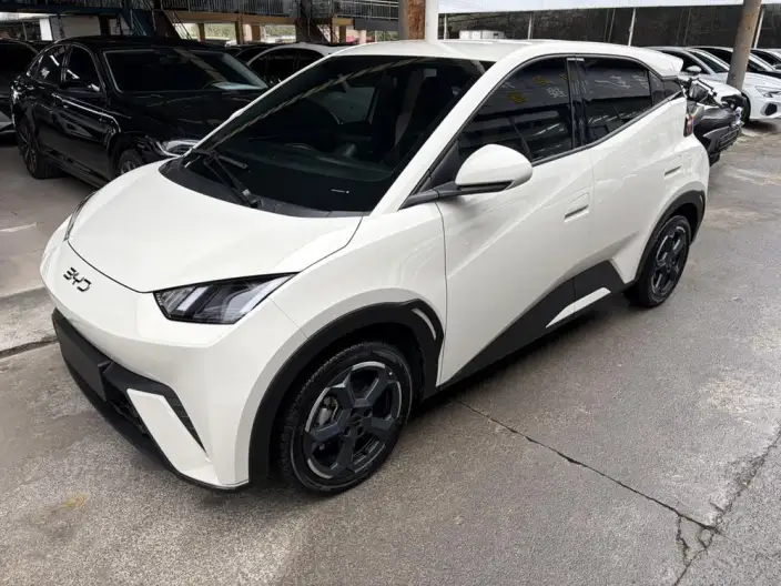 BYD Seagull 2023 Model Feixiang Edition