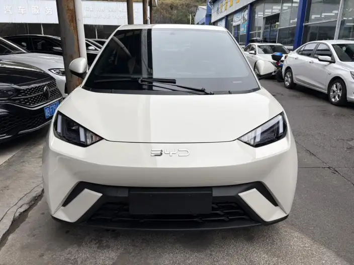 BYD Seagull 2023 Model Feixiang Edition
