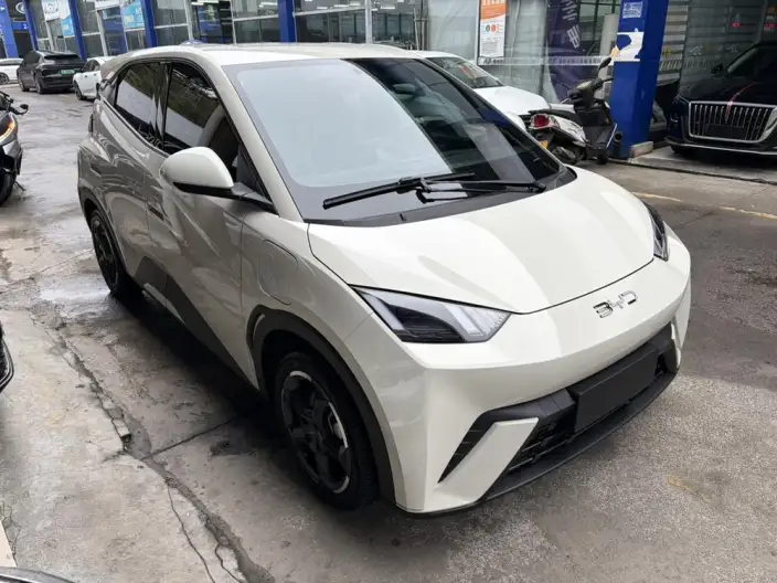 BYD Seagull 2023 Model Feixiang Edition
