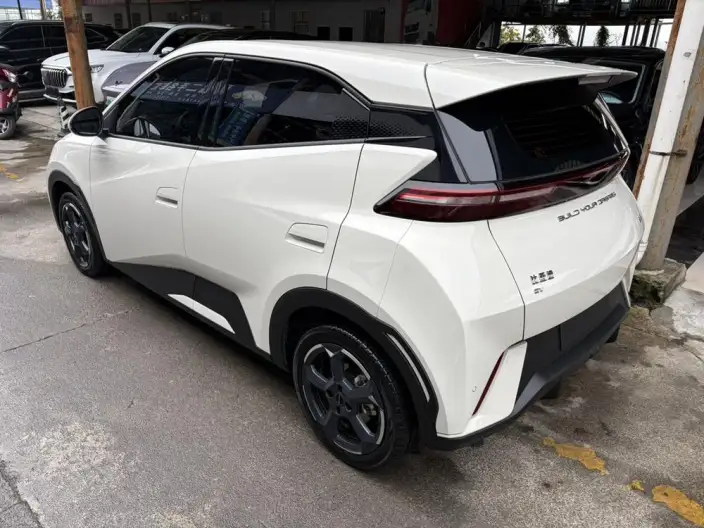 BYD Seagull 2023 Model Feixiang Edition