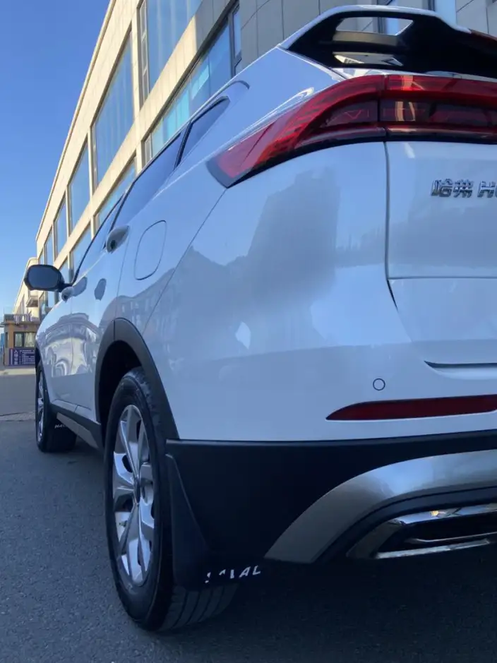 Haval H6 2021 Model Guo Trendy Edition 1.5T Automatic Champion Edition – фото 10