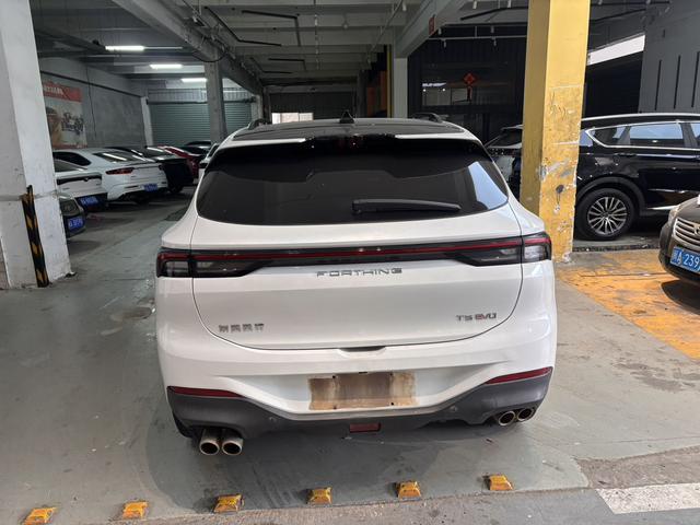 Fengxing T5 EVO 2021 1.5TD DCT Diamond Edition – фото 9