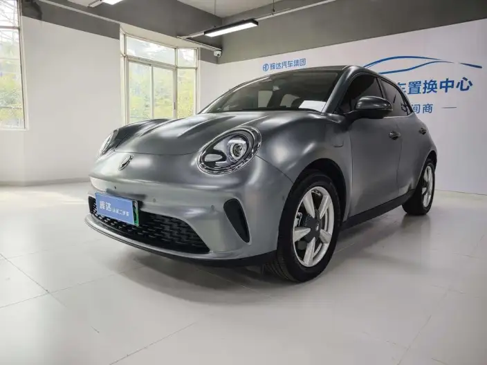 ORA Good Cat 2025 Model 430km Zunrong Model – фото 1