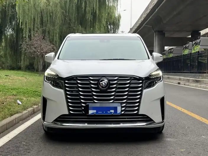 Buick GL8 2023 Model ES Luzun 2.0T Exclusive Model