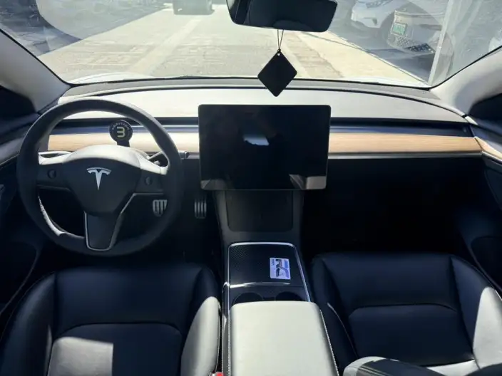 Model 3 2022 Model Performance High performance All-wheel drive version – фото 5