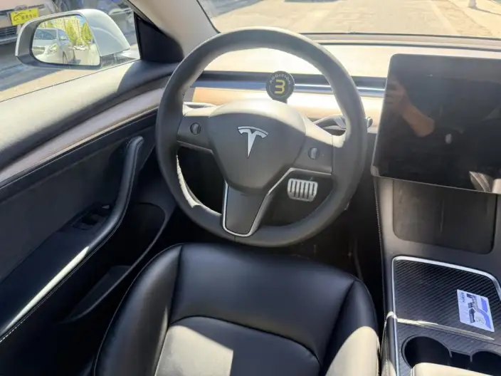 Model 3 2022 Model Performance High performance All-wheel drive version – фото 6