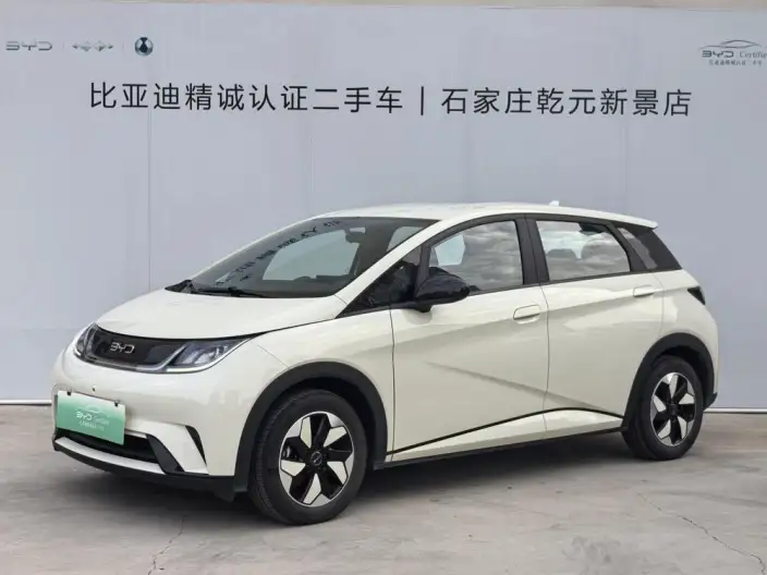 BYD Dolphin 2025 Model 420KM Free Edition