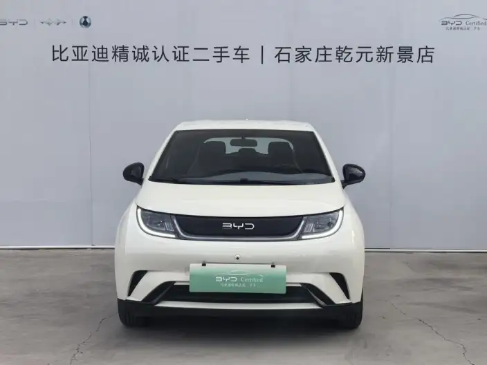 BYD Dolphin 2025 Model 420KM Free Edition