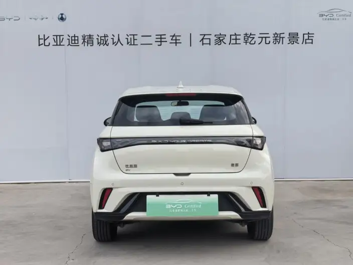 BYD Dolphin 2025 Model 420KM Free Edition