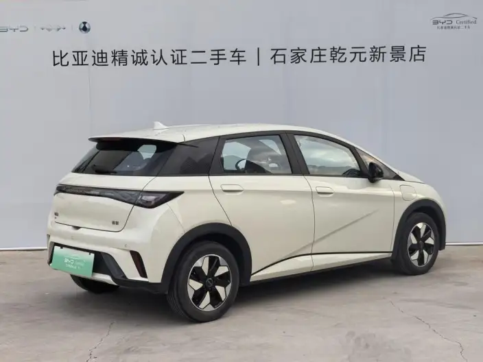BYD Dolphin 2025 Model 420KM Free Edition