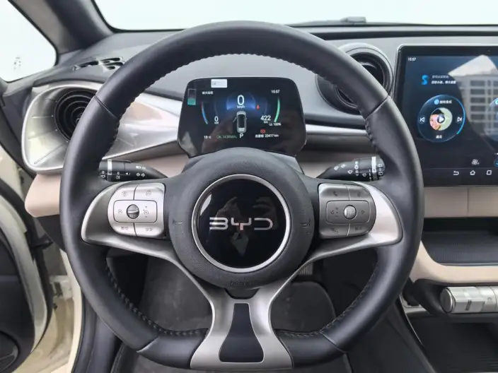 BYD Dolphin 2025 Model 420KM Free Edition – фото 9