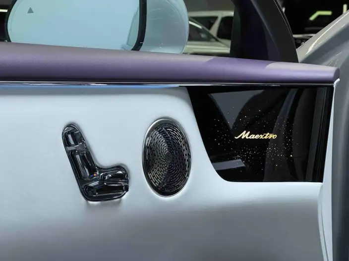 Zunjie S800 2025 Model Extended Range Starlight Executive Edition 4 seat – фото 10